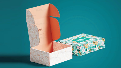The Significance of Printed E-commerce Mailer Boxes: Enhancing Branding and Customer Experience
